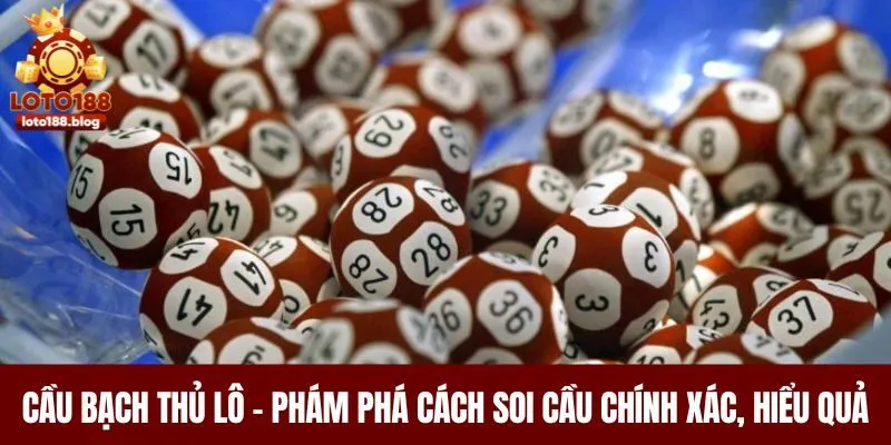 Cầu Bạch Thủ Lô - Khám Phá Cách Soi Cầu Chính Xác, Hiệu Quả