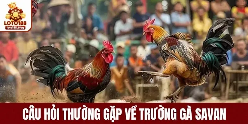 Giải đáp những thắc mắc về sân chơi Savan