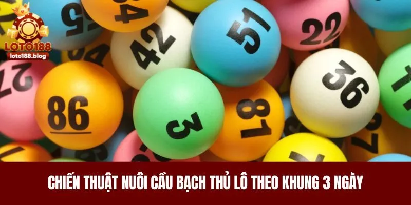 Chiến thuật nuôi cầu bạch thủ lô theo khung 3 ngày