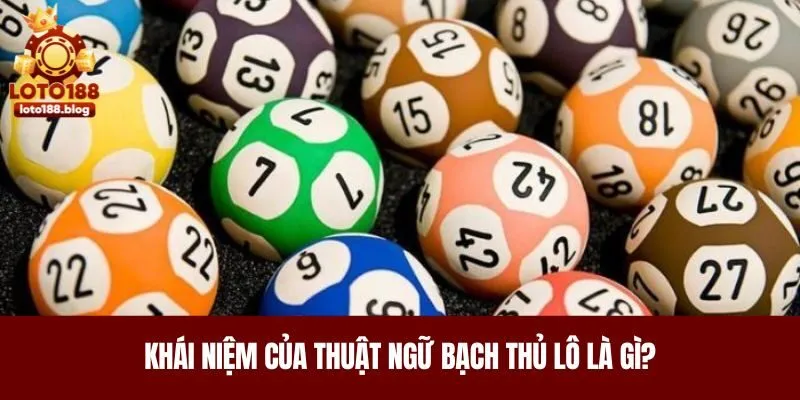 Khái niệm của thuật ngữ bạch thủ lô là gì?