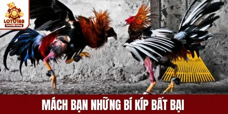 Mách bạn những bí kíp bất bại 